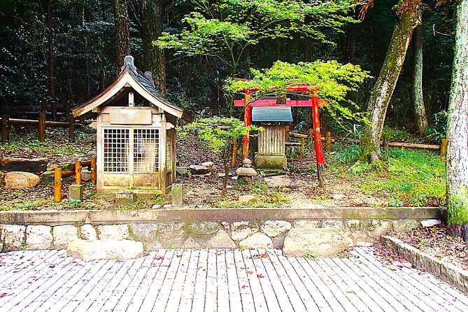 Private Historic Road Hike in the Healing Forest of Arima - Included Supplies and Gear