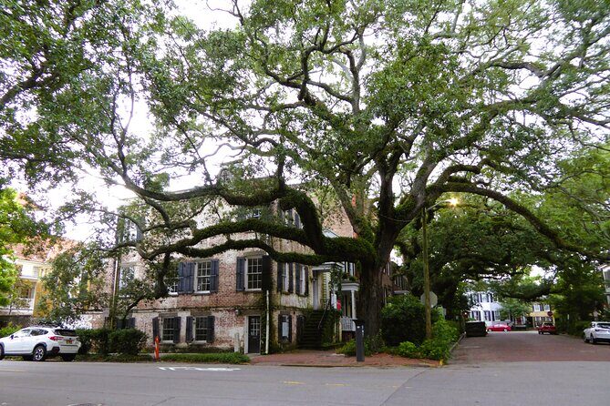 Private Historic Savannah Driving Tour - Analyzing the Value