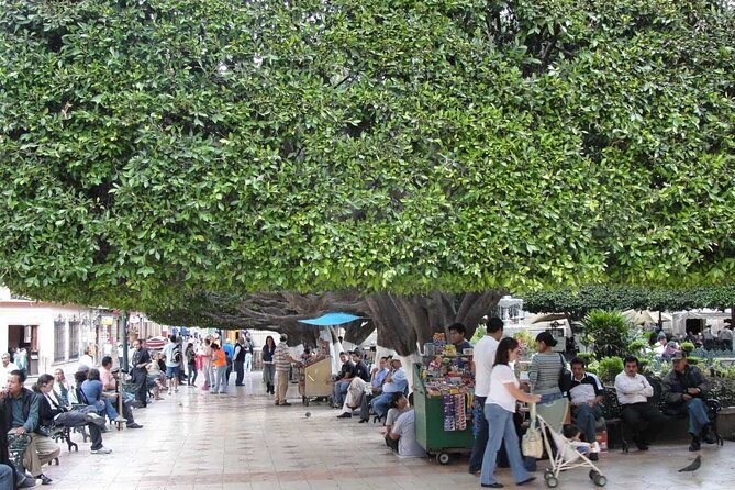 Private History & City Walking Tour of Guanajuato - Highlights of the Tour