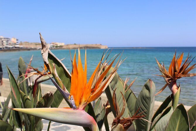 Private History, Sights, and Food Walking Tour of Chania City - Key Points