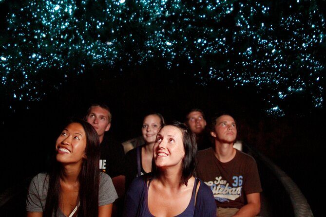 Private Hobbiton Movie Set & Waitomo Caves in a Day from Auckland - The Sum Up