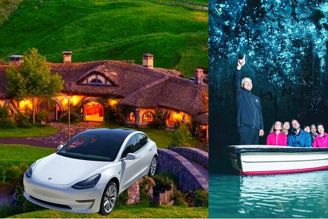 Private Hobbiton & Waitomo Caves Transfer from Auckland - Key Points