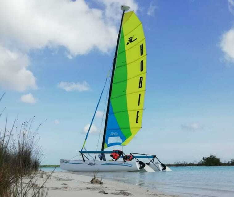 Private Hobie Cat Sailing Tour - Practical Tips for Travelers