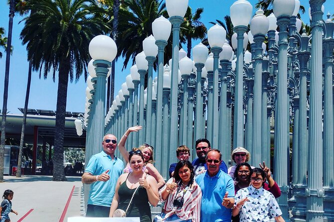 Private Hollywood to Beverly Hills Sightseeing Tour From Orange County - Private Vehicle and Professional Driver