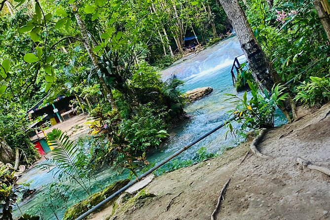Private Horse Back Riding and Blue Hole From Montegobay - Preparation and Recommendations