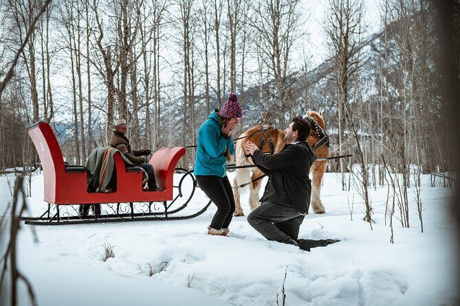 Private Horse-Drawn Sleigh Ride In Banff - Who Should Consider Booking?