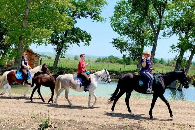 Private Horse Ridding Tour - Cancellation Policy
