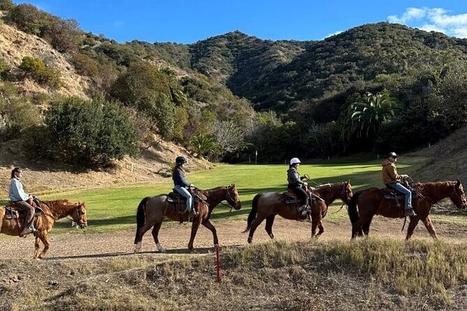 Private Horse Trail and Canyon Ride on Catalina Island - A Closer Look at the Catalina Horseback Ride