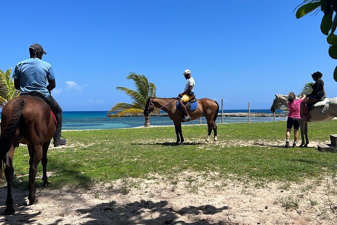 Private Horseback Ride and Swim from Montego Bay - A Deep Dive into the Experience