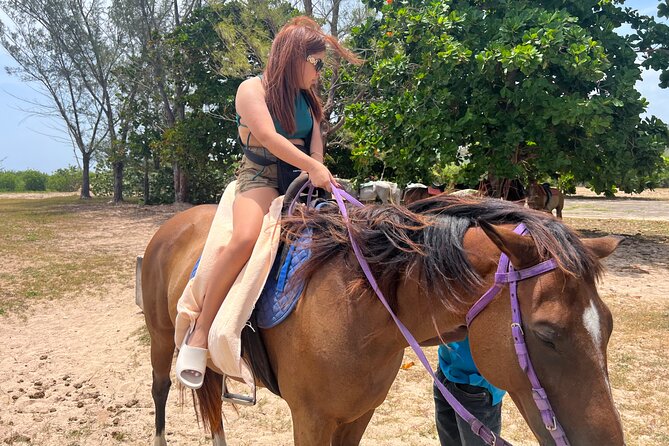 Private Horseback Ride and Swim From Montego Bay - Swim Experience