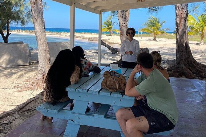 Private Horseback ride and swim in Montego Bay - Pricing and Value