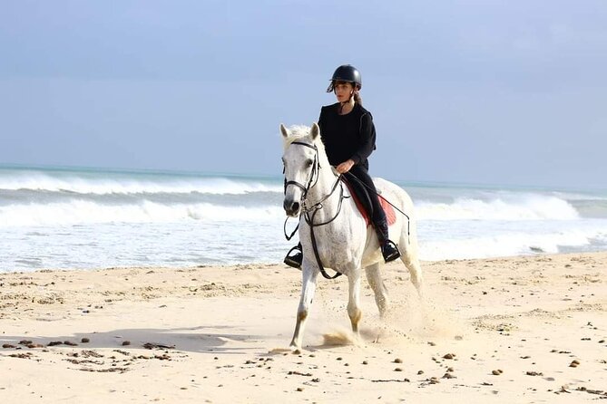 Private Horseback Ride at Sunset in Hammamet - Final Thoughts on the Experience