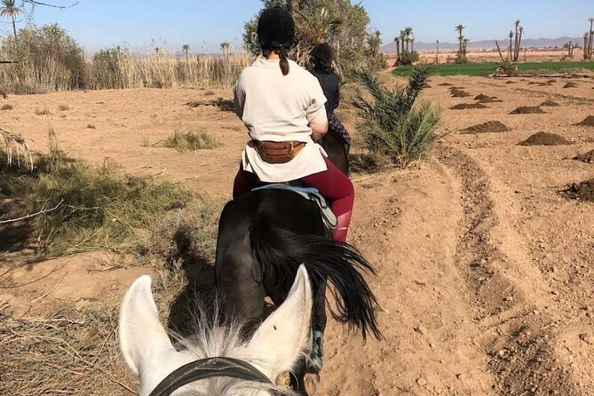 Private Horseback Ride in the Palmeraie of Marrakech - Recommendations for Riders
