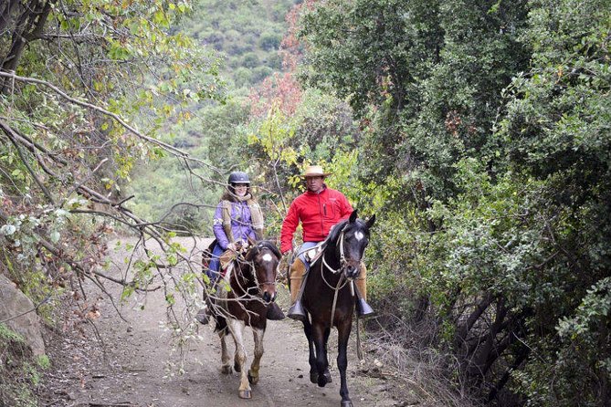 Private Horseback Riding and Wines From Santiago - Included Amenities and Services