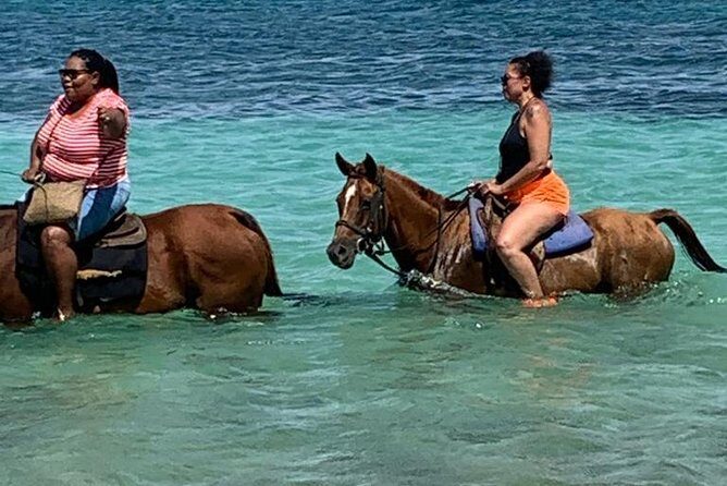 Private Horseback Riding from Ocho Rios with Guide - An In-Depth Look at the Horseback Riding Experience