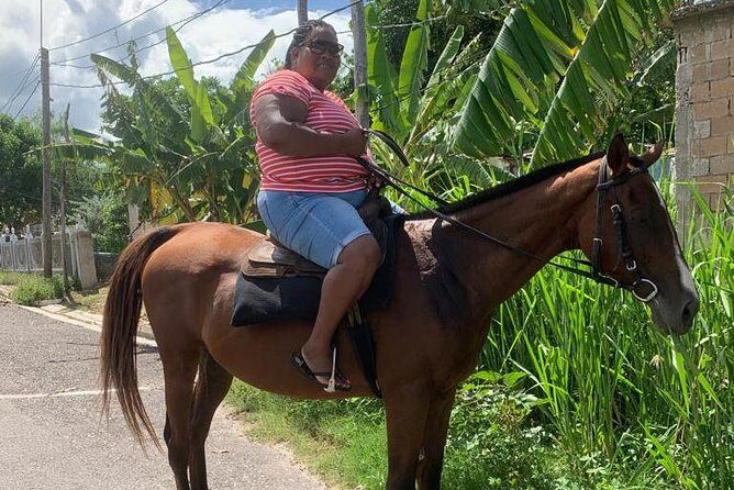 Private Horseback Riding from Ocho Rios with Guide - Is It Worth the Price?