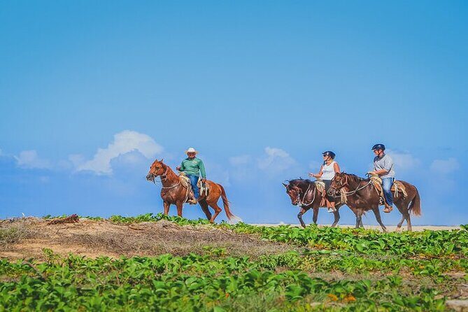 Private Horseback Riding in Cabo San Lucas - Key Points