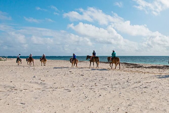 Private Horseback Riding On The Beach - Good To Know
