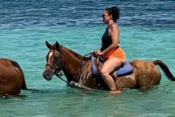 Private Horseback Riding, Swimming and Blue Hole Falls Tour - Overview of what to expect