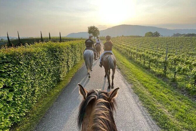 Private Horseback Riding Tour of the Vineyards in Verona with Wine Tasting - Final Thoughts