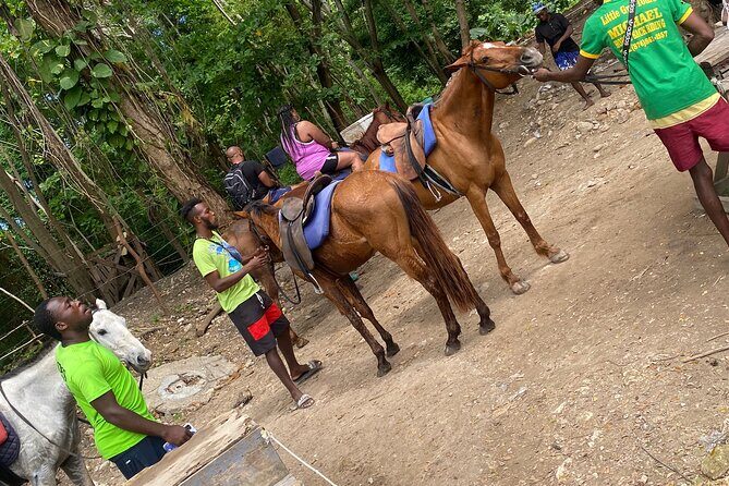 Private Horseback Riding with Blue Hole River Tour in Montego Bay - What to Expect from the Tour