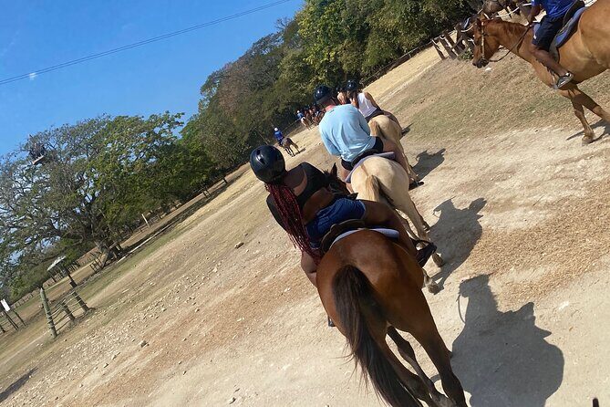 Private Horseback Riding with Blue Hole River Tour in Montego Bay - Authentic Experiences & Reviews