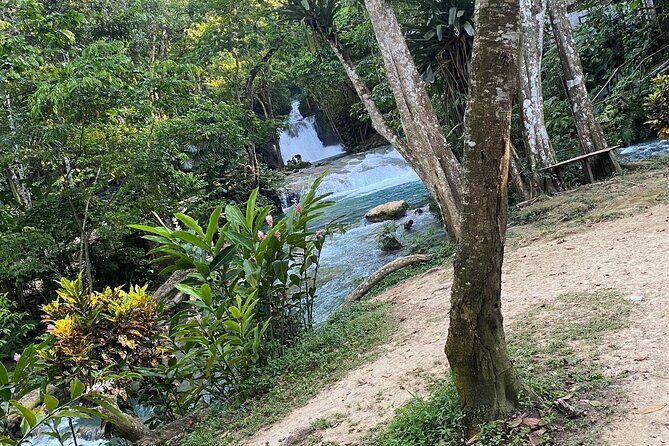Private Horseback Riding with Blue Hole River Tour in Montego Bay - The Overall Value