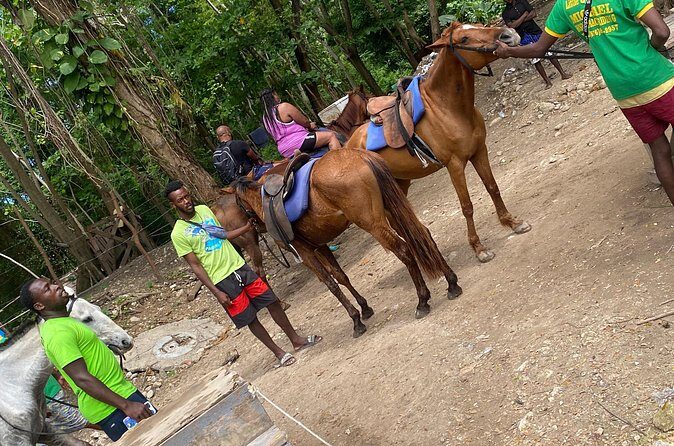 Private Horseback Riding with Blue Hole River Tour in Montego Bay - The Sum Up