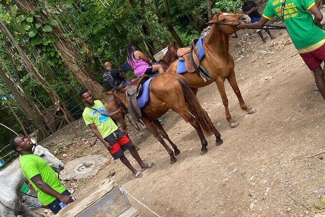 Private Horseback Riding with Blue Hole River Tour in Montego Bay - FAQ