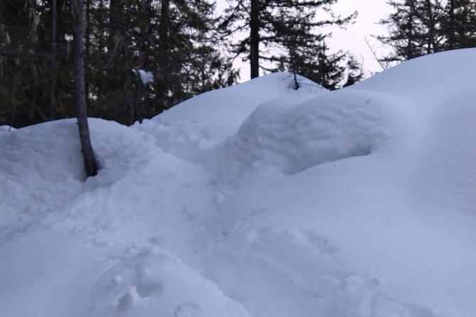 Private Horseshoe Valley Snowshoe/Crampons (Barrie/Moonstone) - Accessibility Information