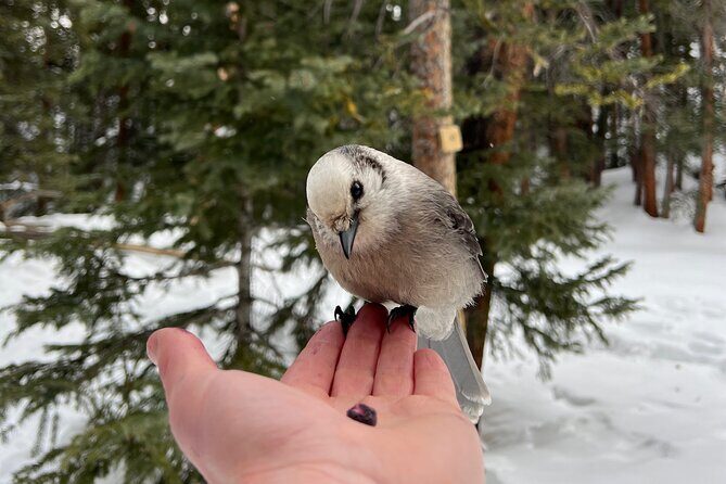 Private Hot Chocolate Hike in the Rockies - What to Expect on Your Hot Chocolate Hike