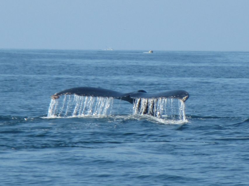 Private Huatulco 5 or 7 Bays Boat Trip - Additional Information