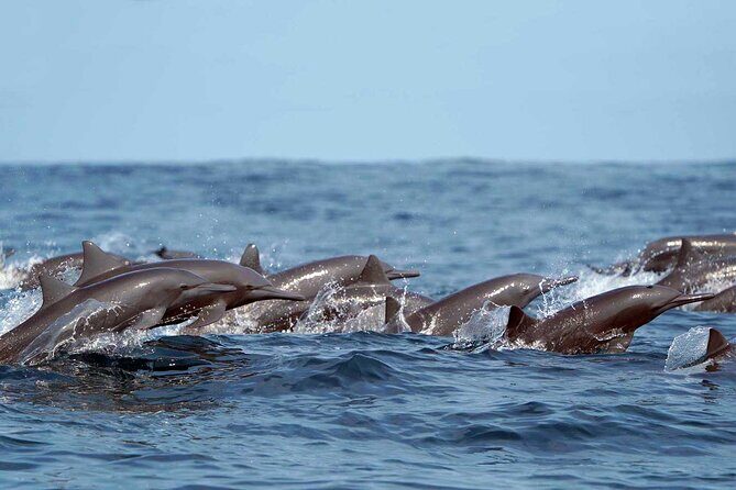 Private Huatulco Ocean, Bays & Coral Reef Snorkeling Adventures - Key Points