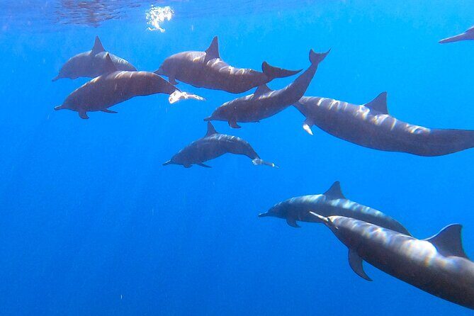 Private Huatulco Ocean, Bays & Coral Reef Snorkeling Adventures - An In-Depth Look at the Tour Itinerary