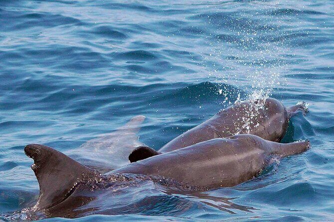 Private Huatulco Ocean, Bays & Coral Reef Snorkeling Adventures - The Sum Up