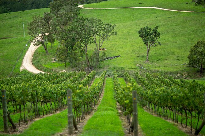 Private Hunter Valley Wine Tour from Sydney Tasting Day Trip - Who Will Love This Tour?