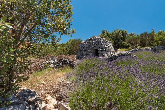 Private Hvar Island Tour and Olive Oil Tasting - Scents, Sights, and Tastes