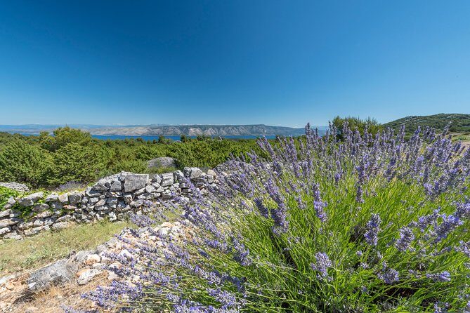 Private Hvar Wine Tasting Tour - Practical Details and Tips