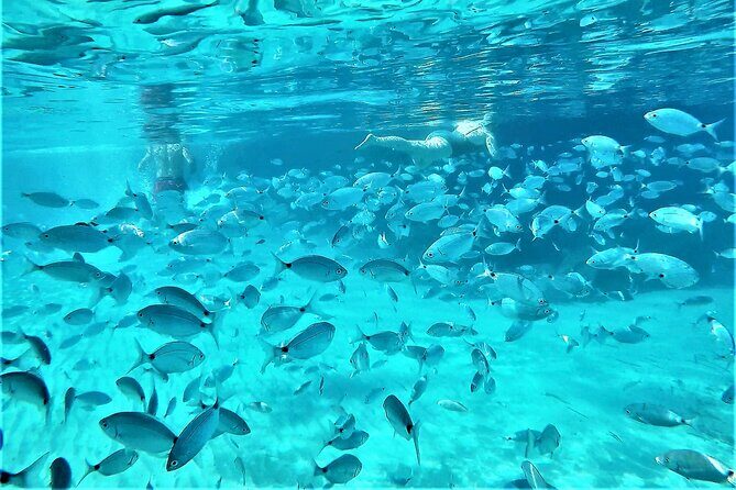 Private Hydro-Jet Snorkeling Beach and Cave Cruise Tour - Final Thoughts