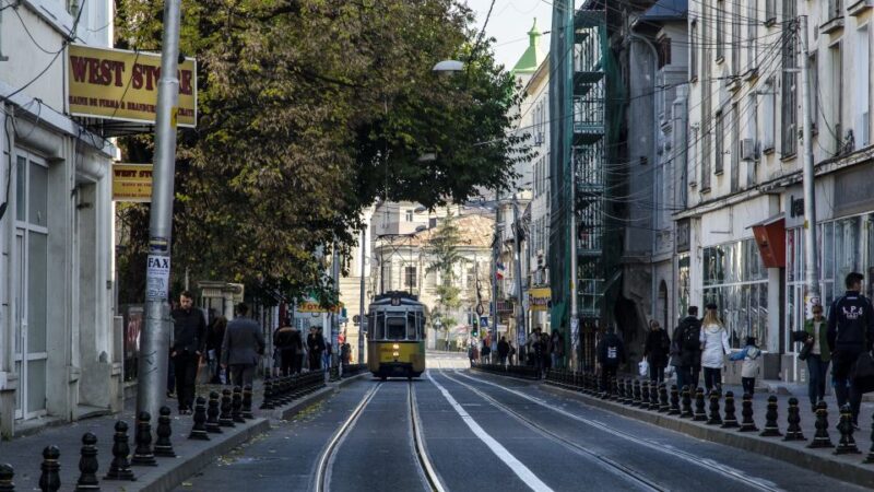 Private Iasi City Tour - Included Services