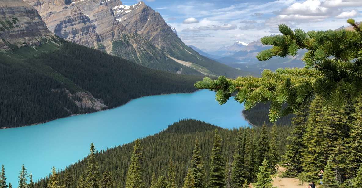 Private Icefields Parkway Tour W/ Lake Louise & Moraine Lake - Itinerary Highlights