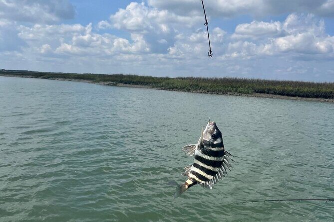 Private Inshore Fishing - Key Points