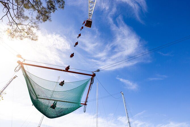 Private Intercity Transfer from Rotorua to Wellington - What’s Included and How It Works