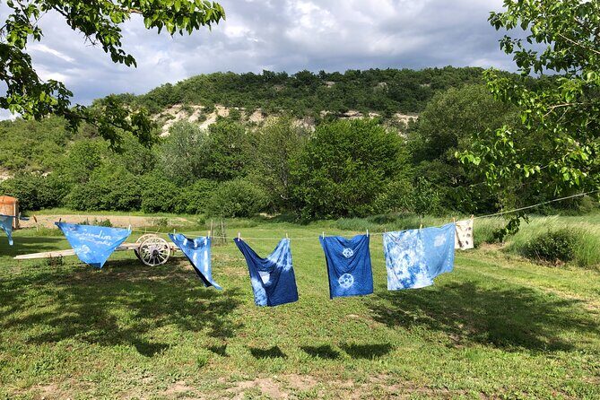 Private Introduction to plant color in Forcalquier in Provence - A Closer Look at the Itinerary