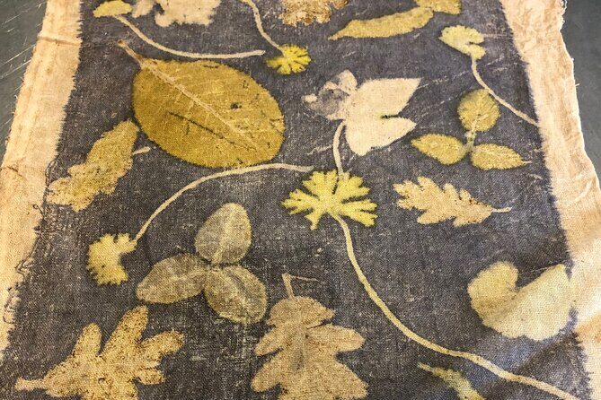 Private Introduction to plant color in Forcalquier in Provence - Authenticity and Real Experiences