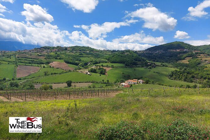 Private Irpinia Wine Tour from POSITANO, AMALFI or RAVELLO - Key Points