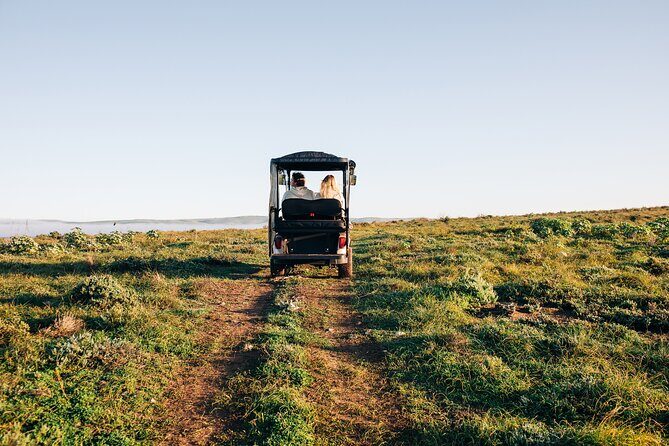 Private Island Day Tour with 6 Course Dining - A Deep Dive into the Experience