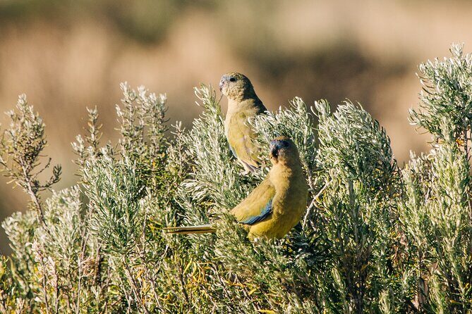 Private Island Day Tour with 6 Course Dining - FAQ