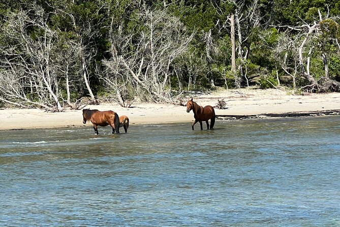 Private Island Eco Tours Review: An Adventure Awaits - Planning Your Private Island Eco Tour
