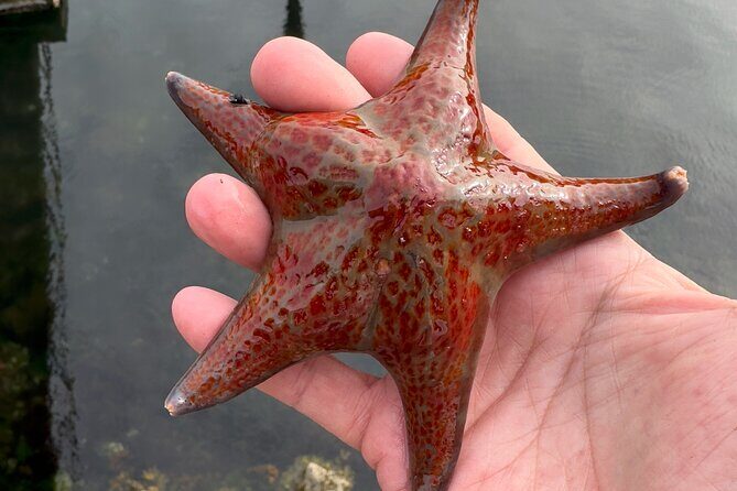 Private Island Experience in Sitka - Final Thoughts: Is This Tour for You?